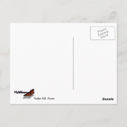 トラファルガー滝熱帯雨林写真 ポストカード (裏面)