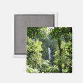トラファルガー滝熱帯雨林写真 マグネット (正面/裏面)