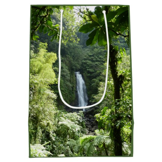 トラファルガー滝熱帯雨林写真 ミディアムペーパーバッグ (裏面)