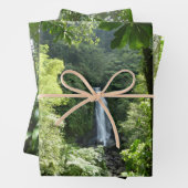 トラファルガー滝熱帯雨林写真 ラッピングペーパーシート (インサイチュ)