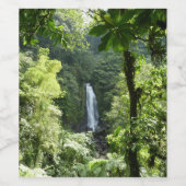 トラファルガー滝熱帯雨林写真 ワインラベル (シングルラベル)