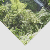 トラファルガー滝熱帯雨林写真 薄葉紙 (詳細)