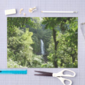 トラファルガー滝熱帯雨林写真 薄葉紙 (クラフト)