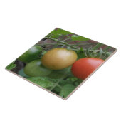 トラフィックライトトマトのタイル タイル (側面)