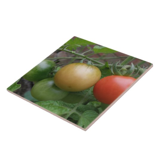 トラフィックライトトマトのタイル タイル (側面)