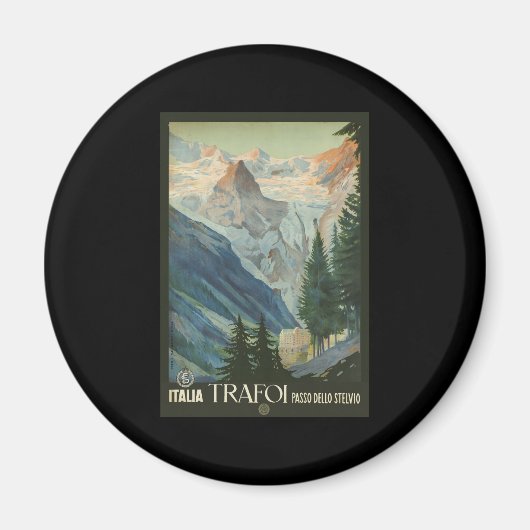 トラフィパスソデッロステルヴィオ マグネット (正面)
