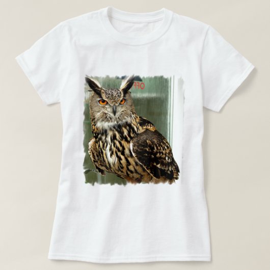 トラフズクの女性Tシャツ Tシャツ (デザイン正面)