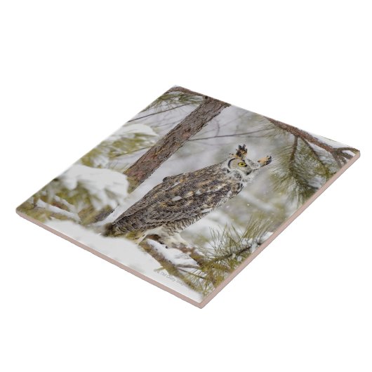 トラフズク タイル (側面)