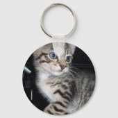 「トラブルのヒゲ – いたずら好きな虎猫子猫 キーホルダー (正面)