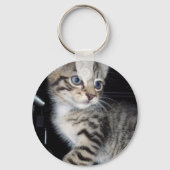 「トラブルのヒゲ – いたずら好きな虎猫子猫 キーホルダー (裏面)