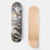 「トラブルのヒゲ – いたずら好きな虎猫子猫 スケートボード (正面)