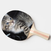 「トラブルのヒゲ – いたずら好きな虎猫子猫 卓球ラケット (横)