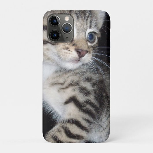 「トラブルのヒゲ – いたずら好きな虎猫子猫 Case-Mate iPhoneケース (裏)