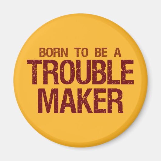 トラブルメーカー磁石 マグネット (正面)