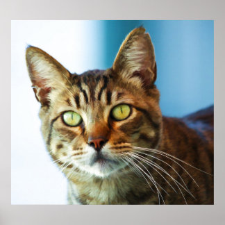 トラブル ポスター