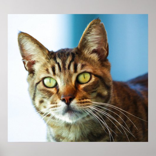 トラブル ポスター (正面)