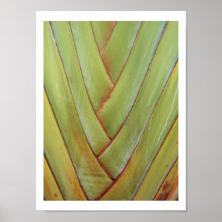 トラベラーズパーム ポスター