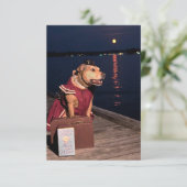 トラベラーセーラードッグおもしろいコスチューム本のノテカード サンキューカード (スタンド正面)