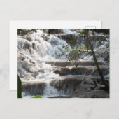 トラベルアートダンズリバー滝ジャマイカ ポストカード (正面/裏面)