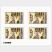 トラベルキラーニーアイルランドバイレイルズヴィンテージ 長方形シール (シート)