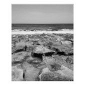 トラベルコーラルコーブフロリダビーチ写真 ポスター (正面)