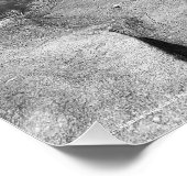 トラベルコーラルコーブフロリダビーチ写真 ポスター (コーナー)