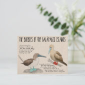 トラベルスケッチ:ガラパゴスの鳥 ポストカード (スタンド正面)