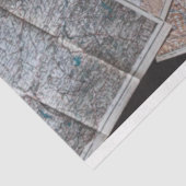 トラベルマップ20x30デコップバックグラウンド 薄葉紙 (詳細)