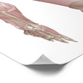 トラペジウス ポスター (角)