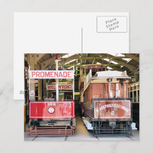 トラム ポストカード (正面/裏面)