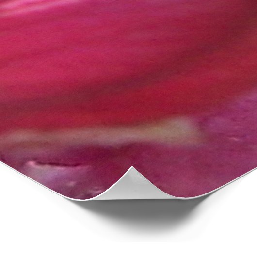 トランキロ ポスター (角)