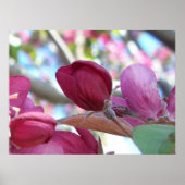 トランキロ ポスター (正面)