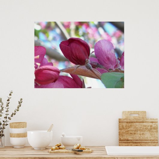 トランキロ ポスター (キッチン)