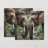 トランクからトランクへ：優しい象の抱擁» (正面/裏面)