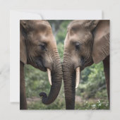 トランクからトランクへ：優しい象の抱擁» (裏面)