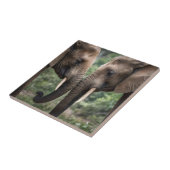 トランクからトランクへ：優しい象の抱擁» タイル (側面)