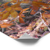 トランクスのポスターが多い ポスター (角)