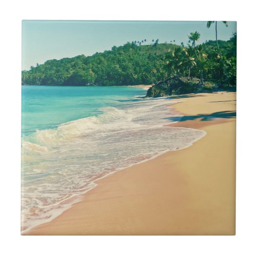 トランクトロピカルアイランドビーチ タイル (正面)