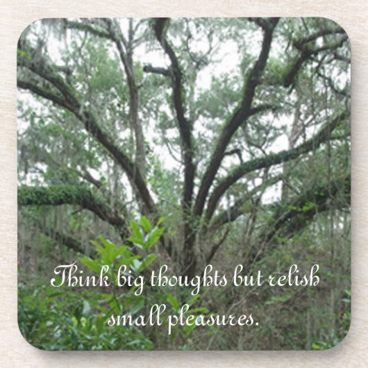 トランクルツリーコースター コースター (正面)