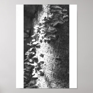 トランク ポスター