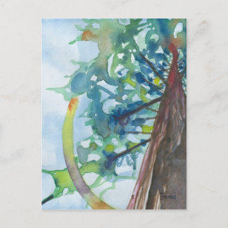 トランク ポストカード