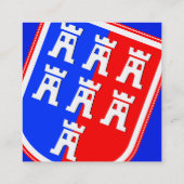 トランシルバインスパイアニア スクエア名刺 (裏面)