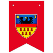 トランシルバニア国旗 バンティングフラッグ (第1の旗)