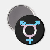 トランスのフラグ記号 マグネット (正面/裏面)