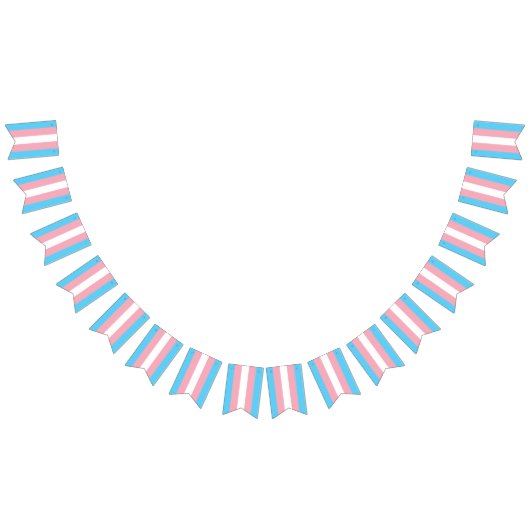 トランスカンティング国旗 バンティングフラッグ (全)