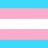 トランスジェンダーの旗 | LGBTQIA+ シール (正面)