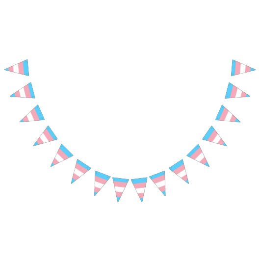 トランスジェンダープライドフラグバナー バンティングフラッグ (全)