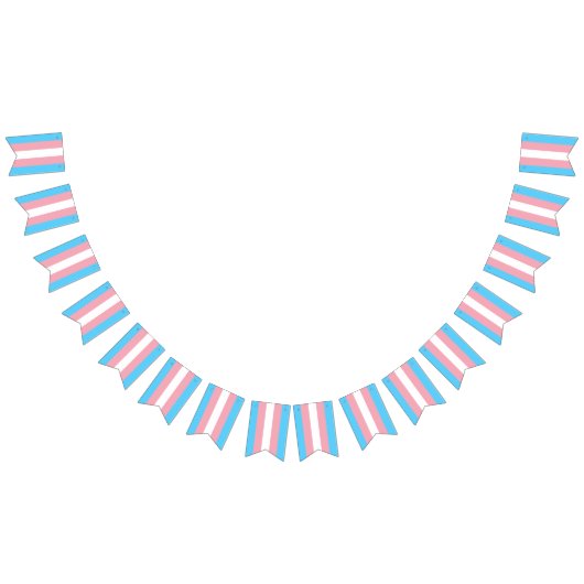 トランスジェンダープライドフラグ バンティングフラッグ (全)