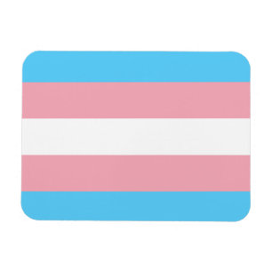 トランスジェンダー国旗のトランスプライドLGBTシンボルゲイの同性愛 マグネット