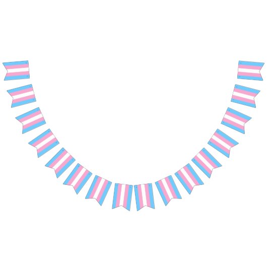 トランスジェンダー国旗のバンティング・バナーLGBTパーティー バンティングフラッグ (全)